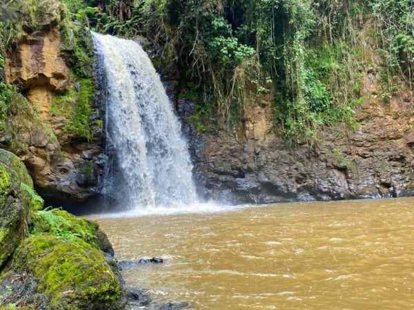 Kieni Forest Hike Package