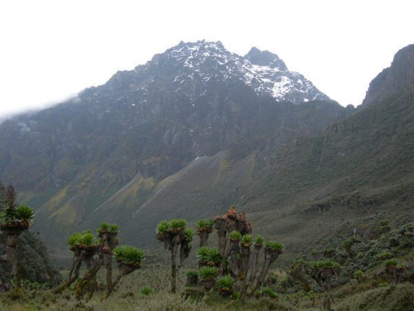 Mt Elgon Climb; Sasa Trail Package