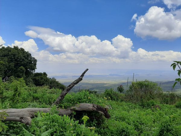 Eburu Forest Hike;EasternSummit Trail Package