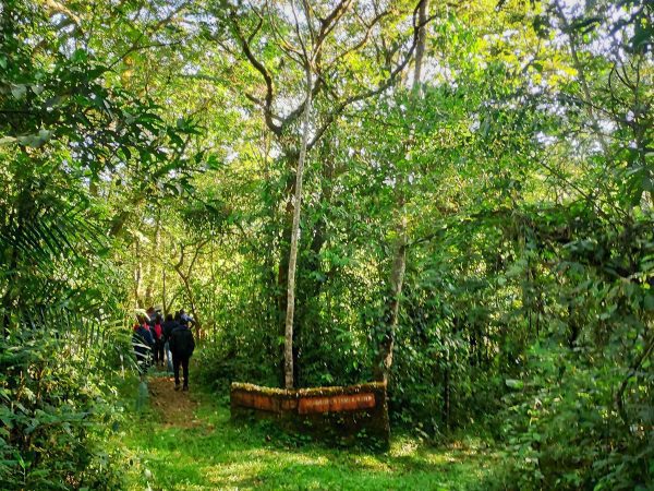Mt Kilimambogo Hike Package