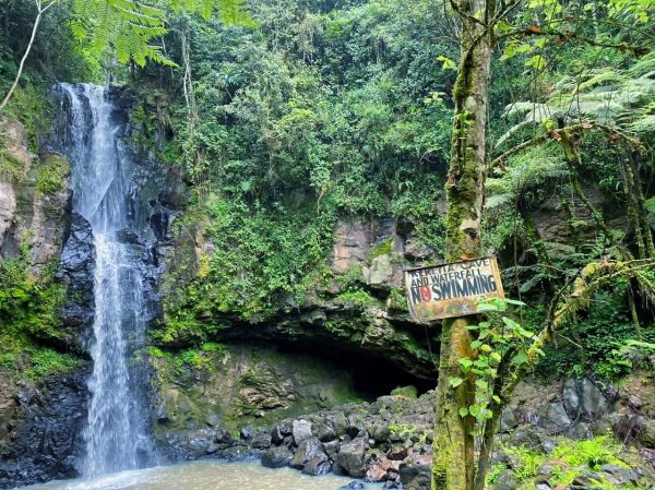 Kereita Forest & Caves Hike Package