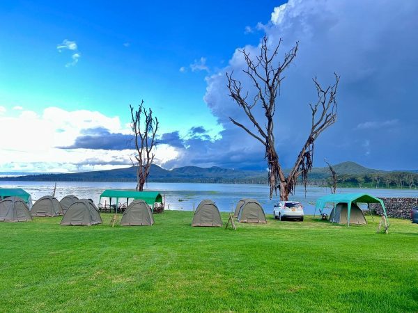 Mountain Madness Ultra Accommodation
